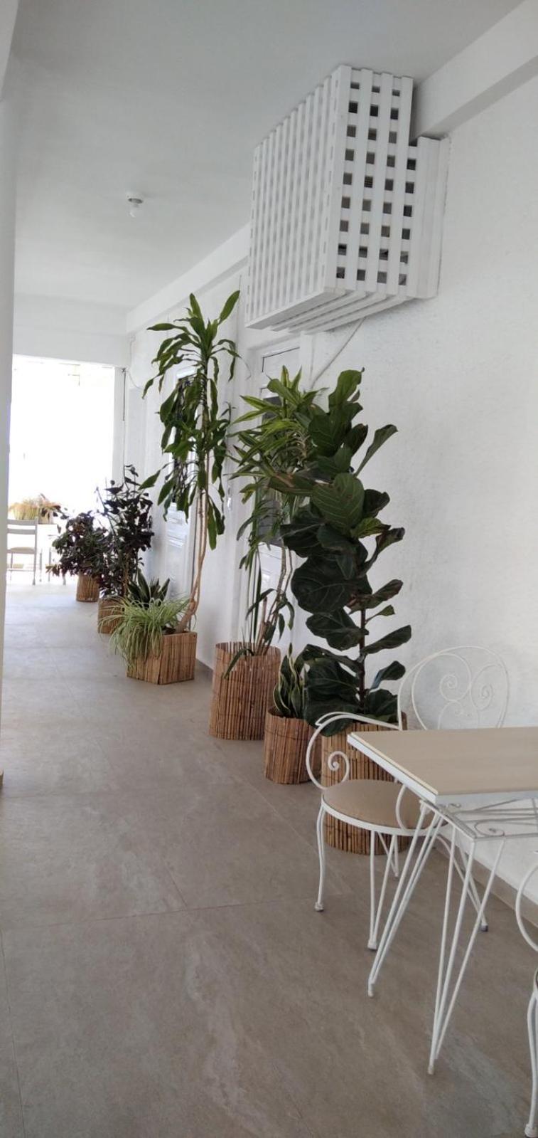 Vista Mare Apartman Koutsourás Kültér fotó